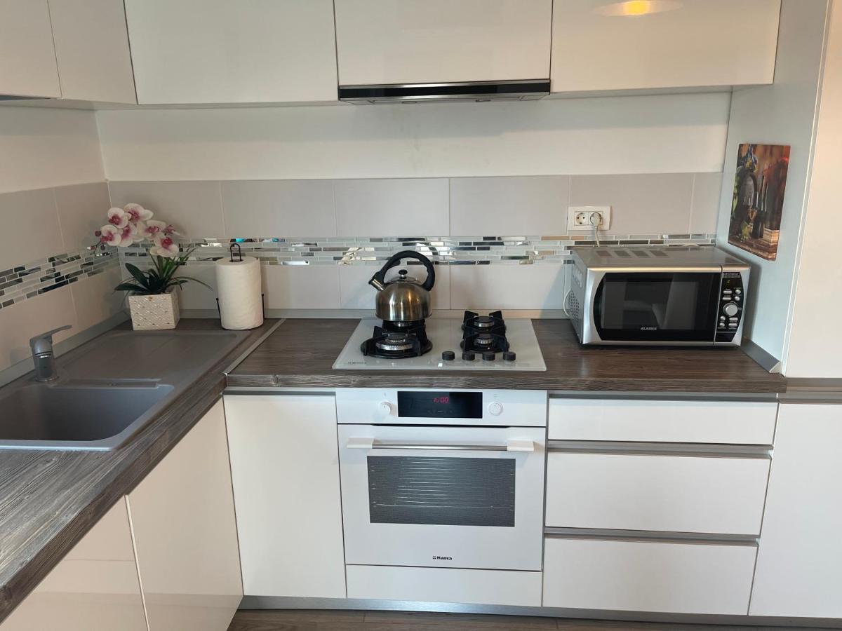 Venetia Apartament - Timisoara Apartman Kültér fotó
