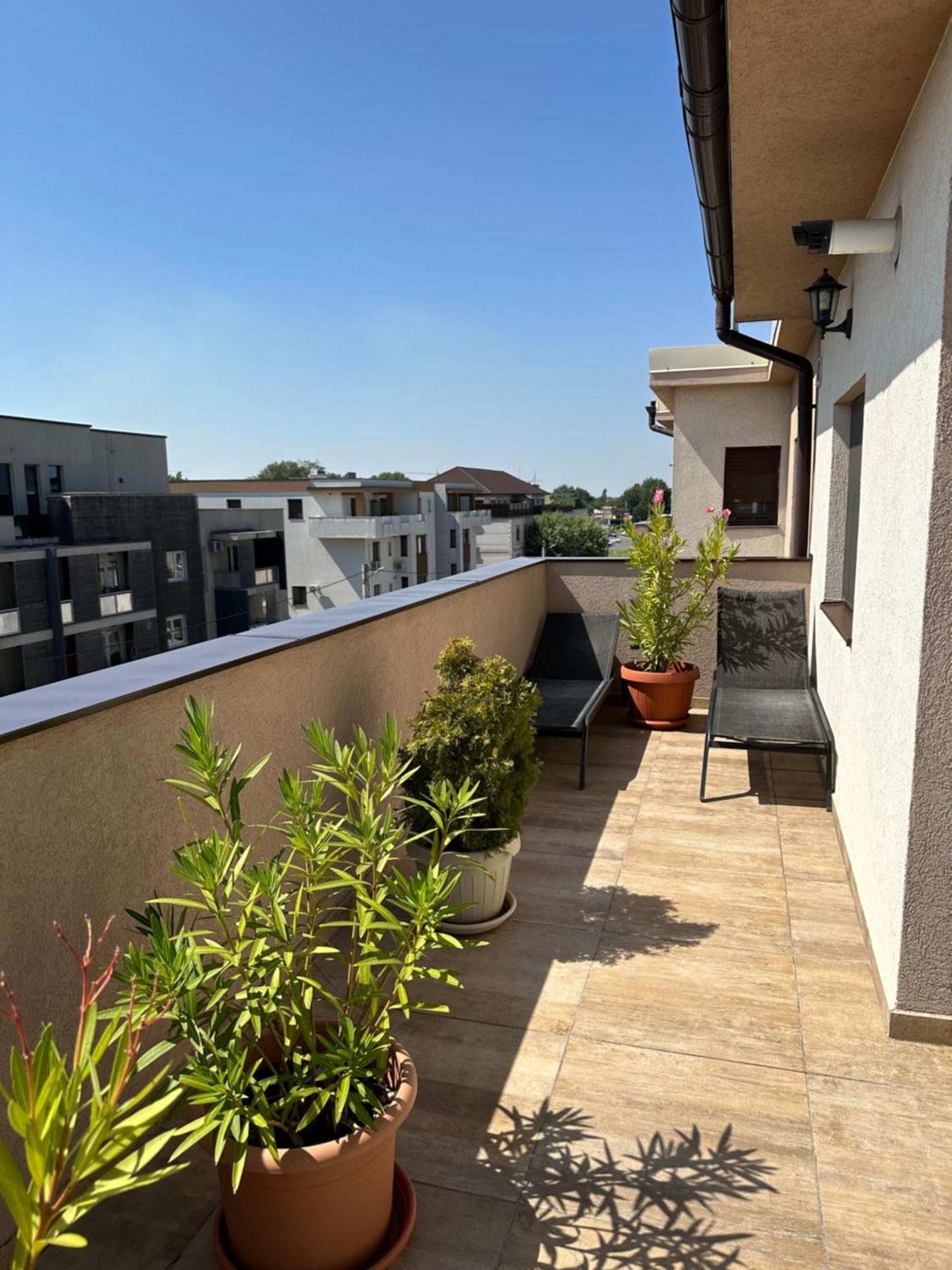 Venetia Apartament - Timisoara Apartman Kültér fotó