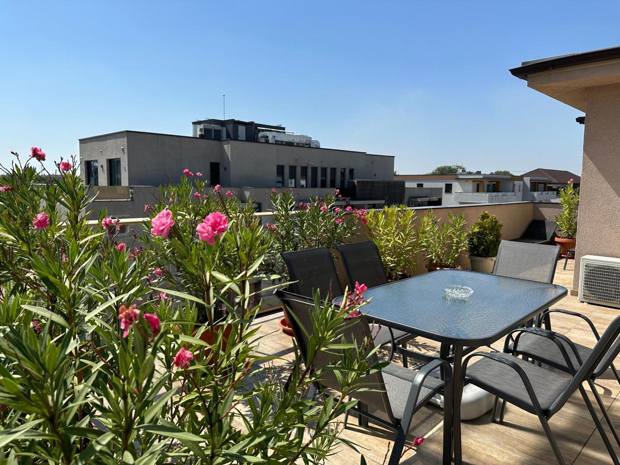Venetia Apartament - Timisoara Apartman Kültér fotó