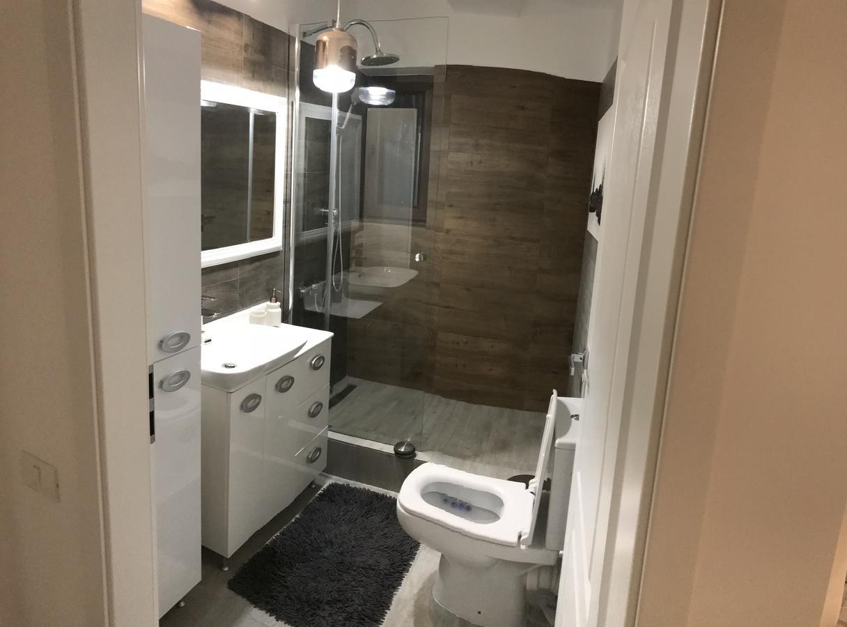Venetia Apartament - Timisoara Apartman Kültér fotó