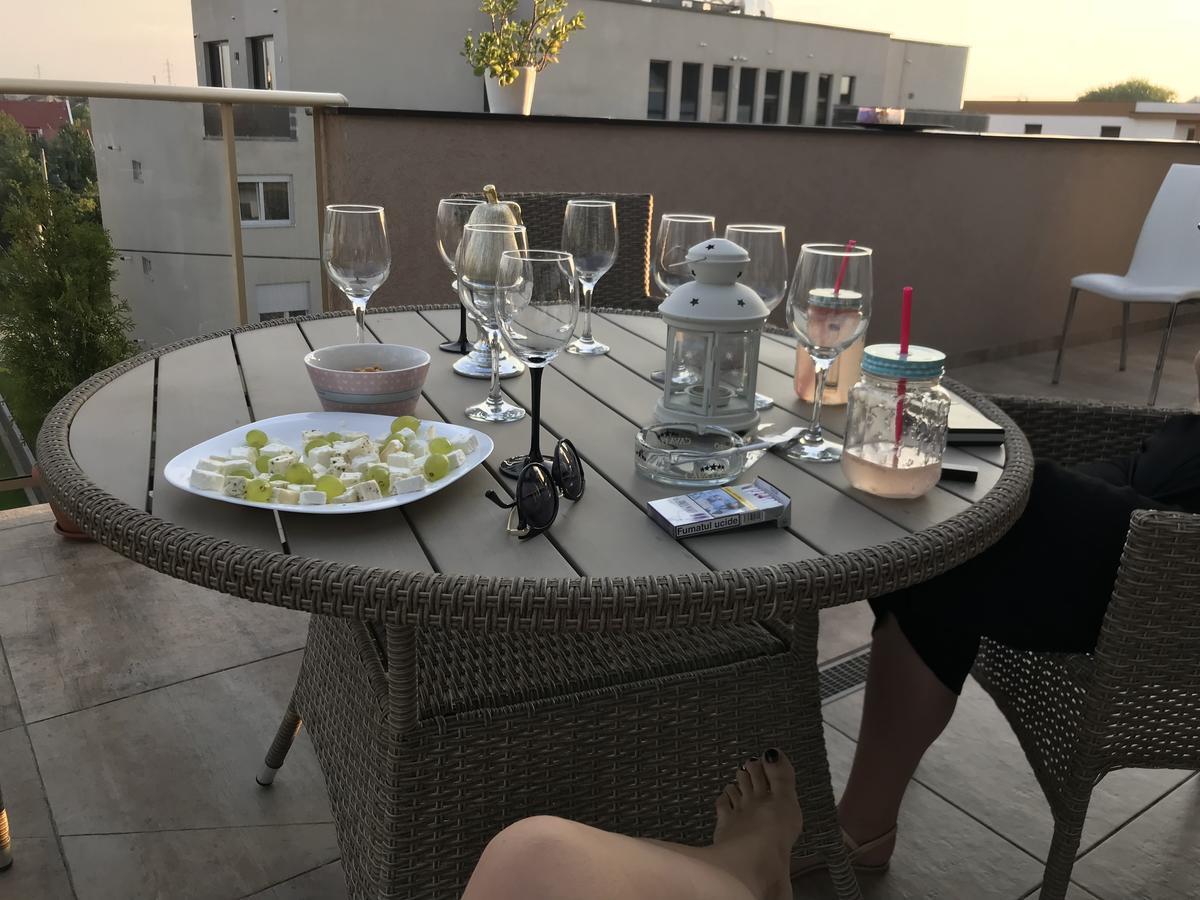 Venetia Apartament - Timisoara Apartman Kültér fotó