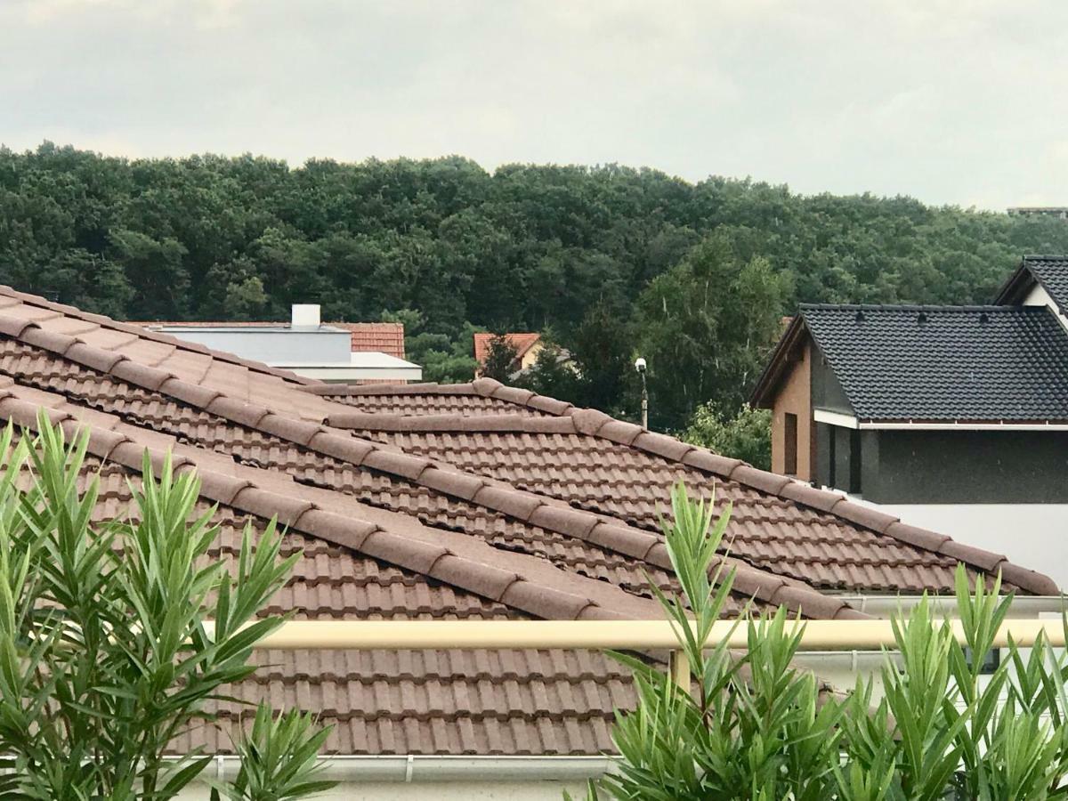 Venetia Apartament - Timisoara Apartman Kültér fotó